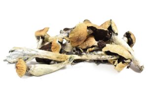 Texas Orange Caps Magic Mushrooms