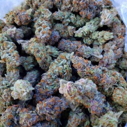 Buy Rainbow Kush Strain