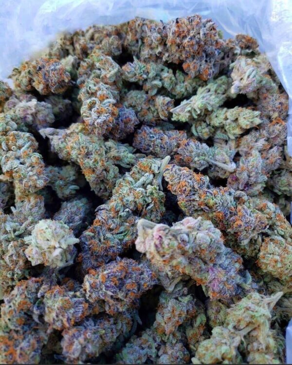 Buy Rainbow Kush Strain