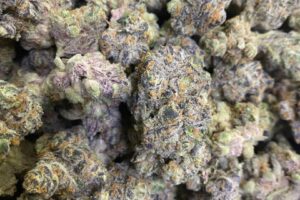 Sundae Driver Strain