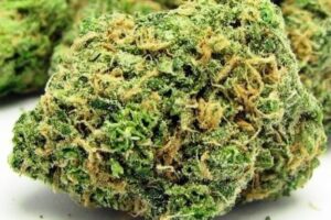 Buy California Dream Strain (Cali Dream)