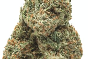 Buy Kali Mist Strain