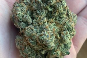 Bulk Grapefruit Strain