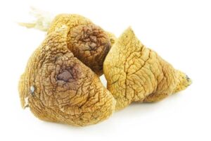 Shrooms – Daddy Long Legs