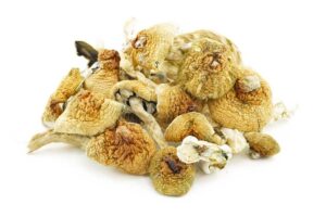 Shrooms – Jedi Mind Fuck