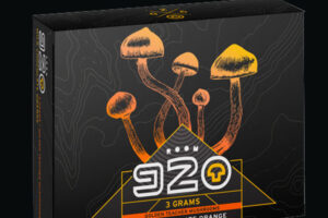 ROOM 920 Mushroom Chocolate Bar – Orange Milk