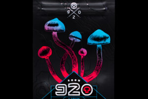 ROOM 920 Mushroom Jelly – Blue Raspberry