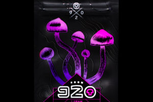 ROOM 920 Mushroom Jelly – Grape