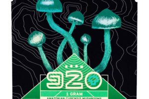 ROOM 920 – Mint Tea