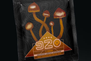 ROOM 920 – Hot Chocolate