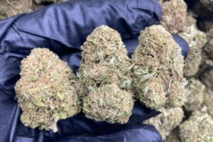 Wholesale Lemon Thai Strain