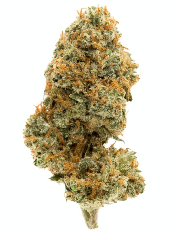 Buy Bulk Ghost Train Haze Strain