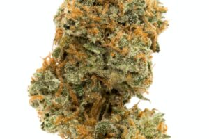 Buy Bulk Ghost Train Haze Strain