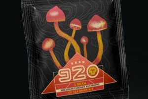 ROOM 920 – Ice Tea (Shrooms)