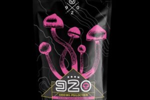 ROOM 920 Mushroom Jelly – Watermelon