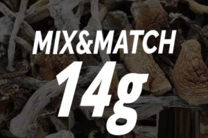 Magic Shroom – Mix and Match 14g
