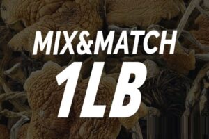 Magic Shrooms – Mix and Match Full Pound