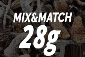 Magic Shrooms – Mix and Match 28g