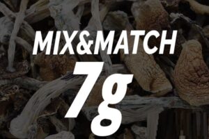 Magic Shrooms – Mix and Match 7g