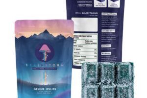 Brainstorm Genius Jelly – 1500mg Psilocybin 5 Packs