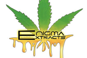 Enigma Extracts – Premium Carts 0.5g Mix and Match 3
