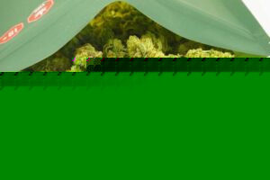 Mystery – AAA (Popcorn Nugs)