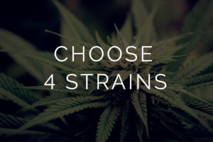 Multi Pack – Half Oz