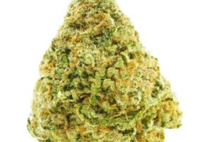 King Louie XIII AAAA