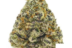 Caribbean Creme AAAA+