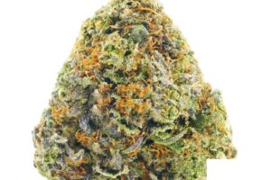 Buy Purple Biscotti Strain Online