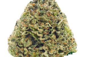 Tropicana Cookies AAAA