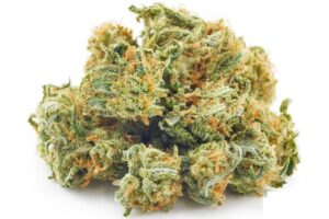 Lemon Sour Diesel AAAA (Popcorn Nugs)