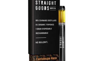 Straight Goods – Cantaloupe Haze Disposable (Sativa)