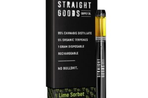 Straight Goods – Lime Sorbet Disposable (Indica)