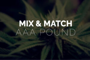 Multi Pack – Pound AAA Strains