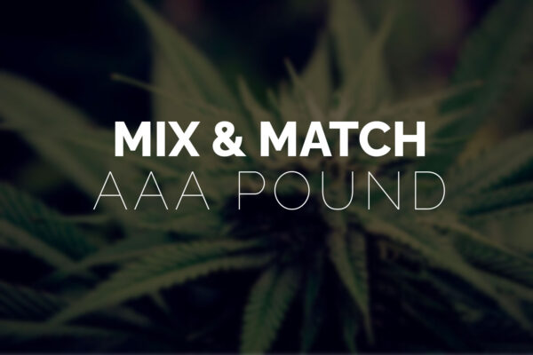 Multi Pack – Pound AAA Strains