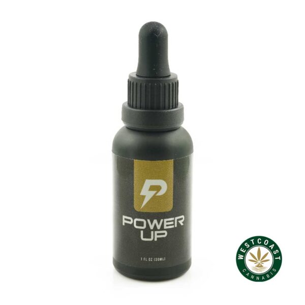 Power Up CBD Tincture Day Oil