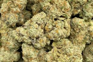 Purple Wedding Cake Strain For Sale