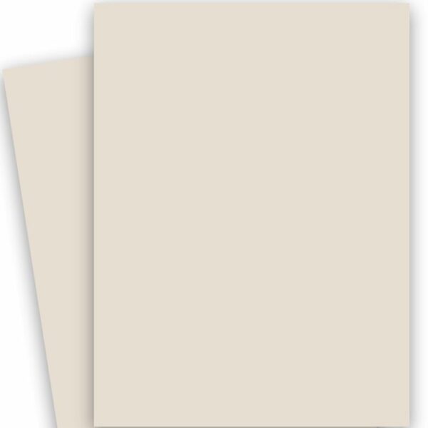 buy Curious SKIN – Stone –27X39 Card Stock K2 Extra Strong Papers