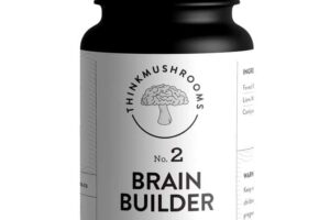 Brain Builder