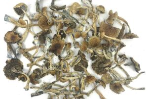 $60 1/2 Ounce Specials