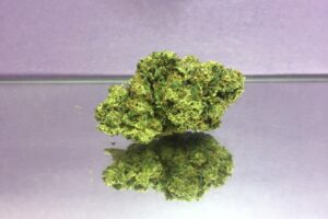 Buy Sensi Star  Online