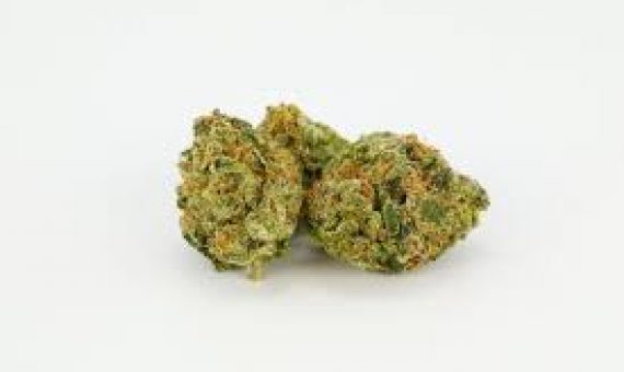 Raspberry Kush Strain